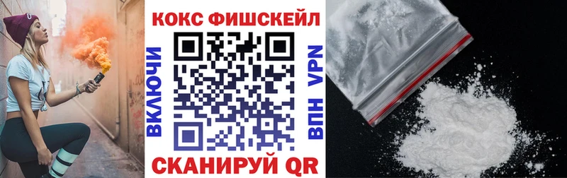 COCAIN Fish Scale  Купить где  Талица 