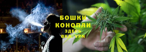 дурь Козловка
