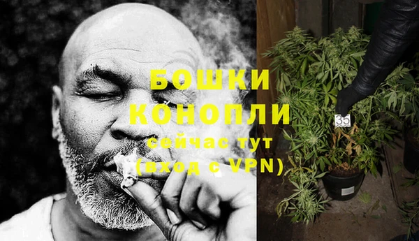 дурь Козловка