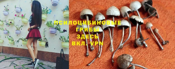 ALPHA-PVP Козельск