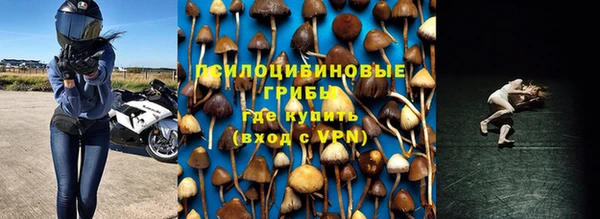 метадон Кодинск