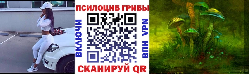Купить где  Талица  Псилоцибиновые грибы мухоморы 
